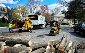 Artificial Turf Installation in Old Orchard, PA